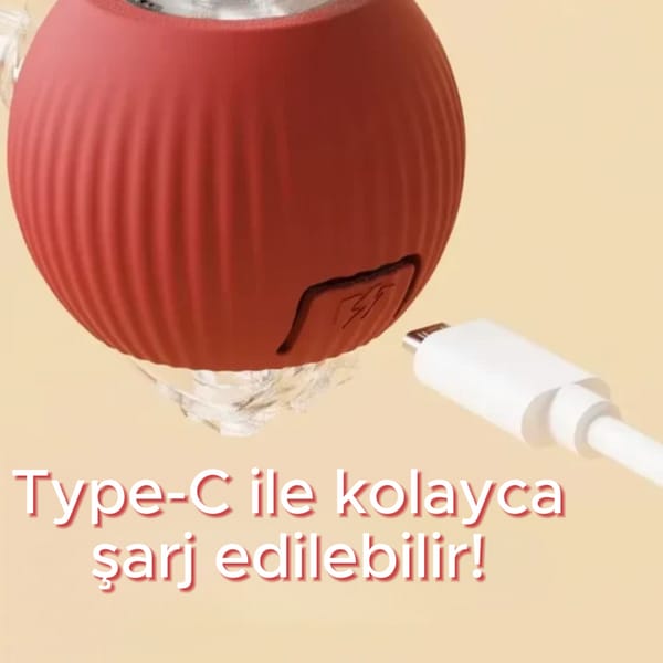 İnteraktif Köpek Oyuncağı