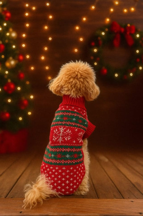 Kırmızı Köpek Kıyafeti