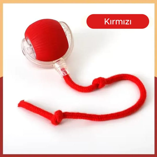 İnteraktif Köpek Oyuncağı