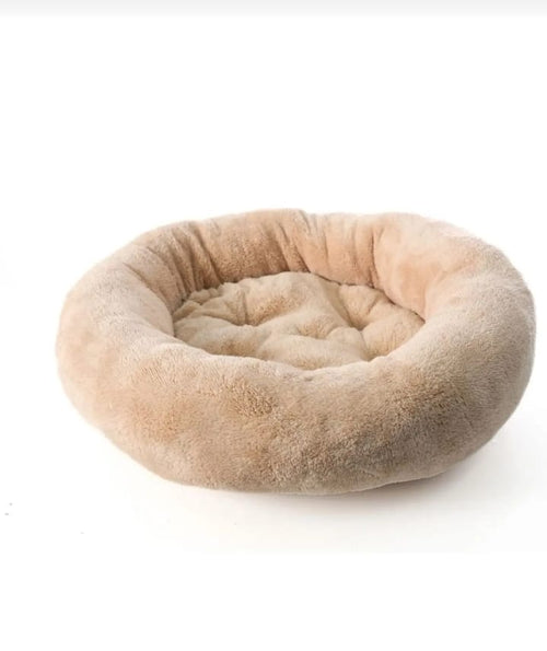 Dearest Paw Köpek Yatağı