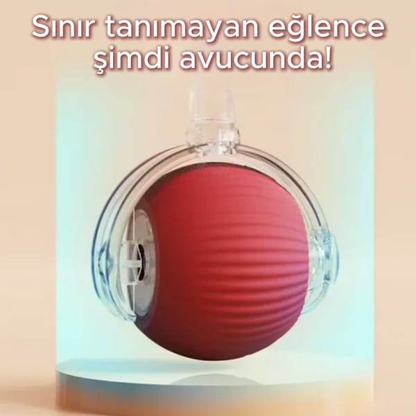 İnteraktif Köpek Oyuncağı