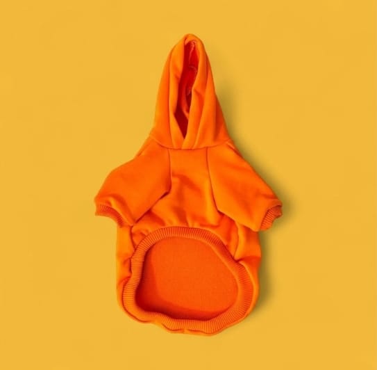 Turuncu Hoodie Sweat