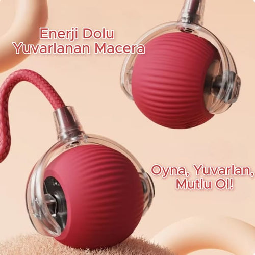 İnteraktif Köpek Oyuncağı